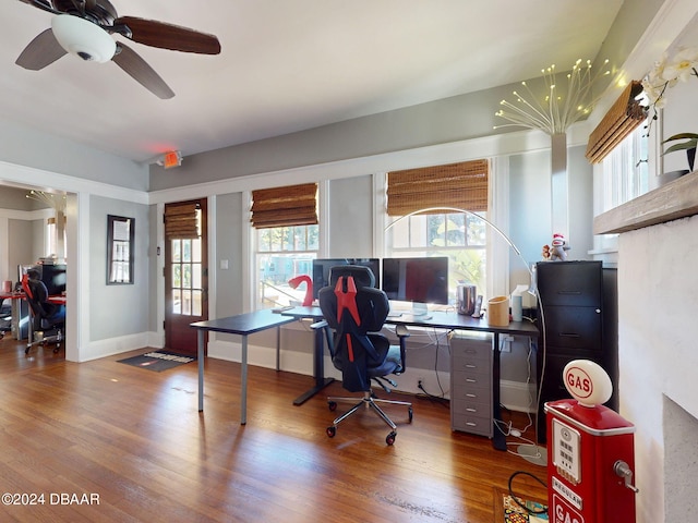 office featuring ceiling fan and hardwood / wood-style flooring