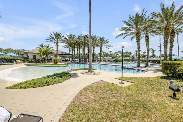 110 Longridge Ln, Ormond Beach, FL 32174 - community pool featuring a yard and a patio