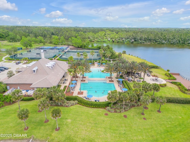 110 Longridge Ln, Ormond Beach, FL 32174 - aerial view of a pool area, a forest, and a large body of water
