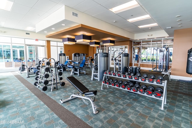 workout area featuring carpet flooring and a healthy amount of sunlight