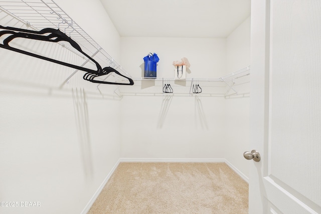 2625 Neverland Dr, New Smyrna Beach, FL 32168 - spacious closet with carpet flooring