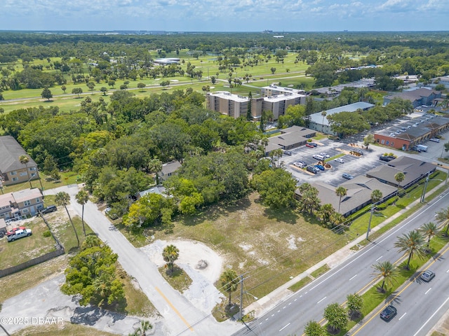 1402 S Ridgewood Ave, Daytona Beach, FL 32117 - photo 4