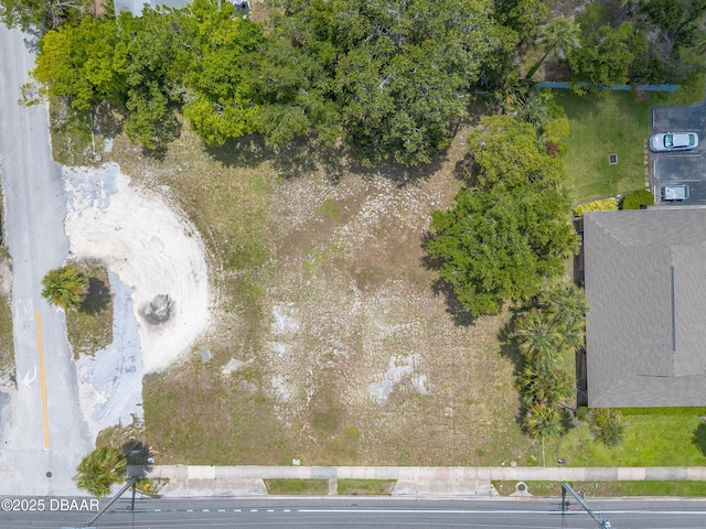 1402 S Ridgewood Ave, Daytona Beach, FL 32117 - photo 10
