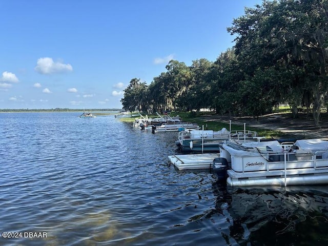 25160 NE 140th Loop, Salt Springs, FL 32134