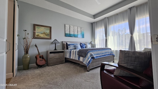 carpeted bedroom with a raised ceiling