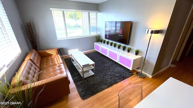 living room featuring wood finished floors and baseboards