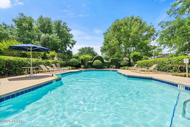979 Leyburn Dr, Deltona, FL 32725 - community pool with a patio