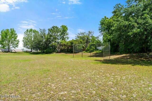 979 Leyburn Dr, Deltona, FL 32725 - view of yard