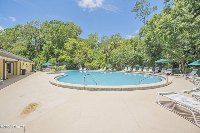 view of pool featuring a patio