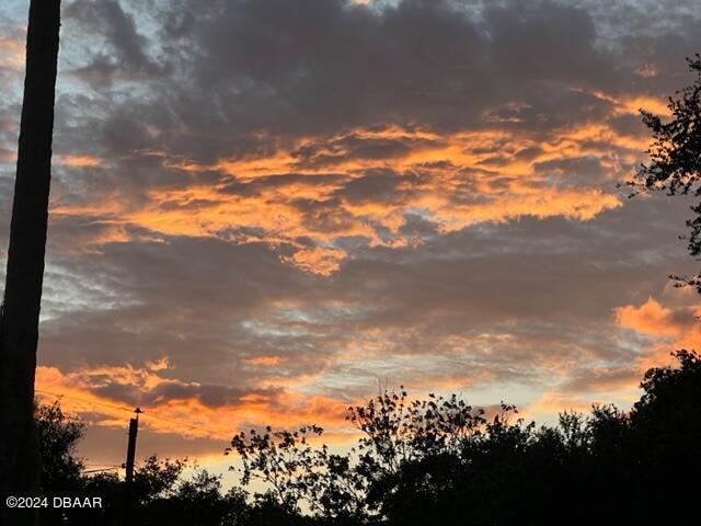 view of nature at dusk