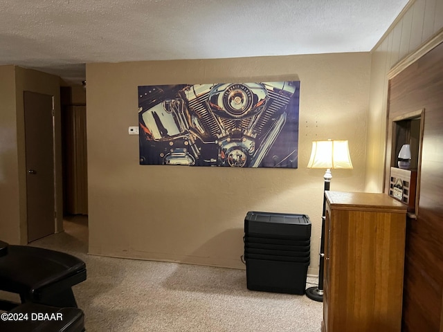 interior space with a textured ceiling and light carpet