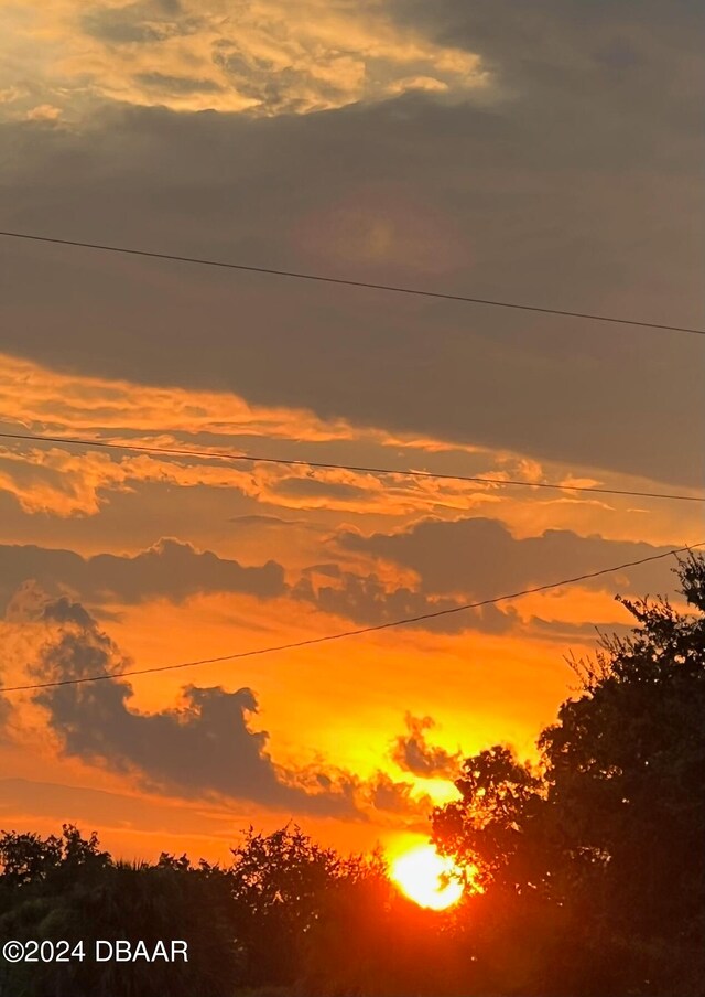 view of nature at dusk