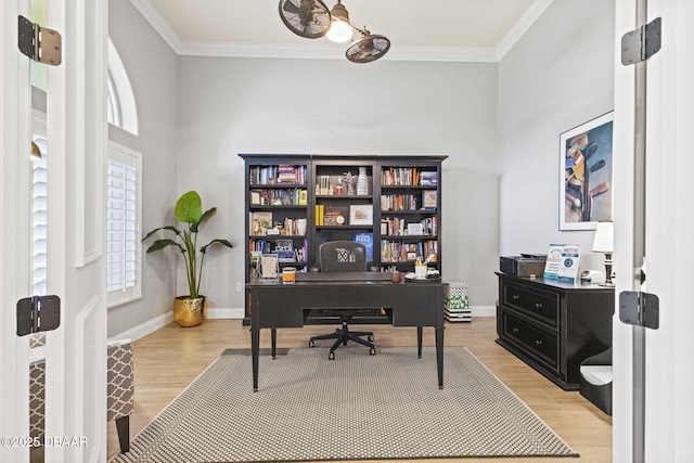 1207 Kaleen Dr, Ormond Beach, FL 32174 - office space featuring light wood-style floors and crown molding