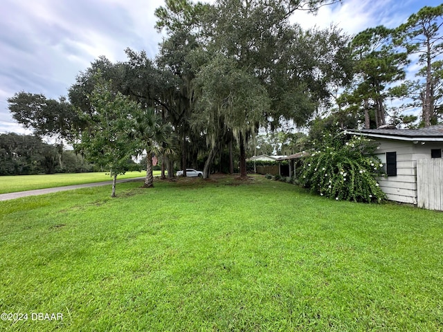 424 Stone Island Rd, Deltona, FL 32725 - view of yard