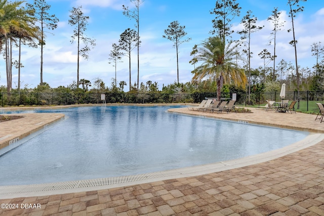 view of swimming pool with a patio