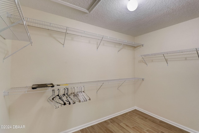 walk in closet with hardwood / wood-style flooring