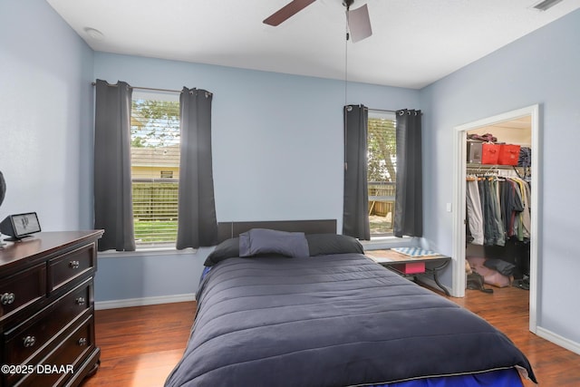 bedroom featuring a walk in closet, ceiling fan, a closet, and hardwood / wood-style flooring