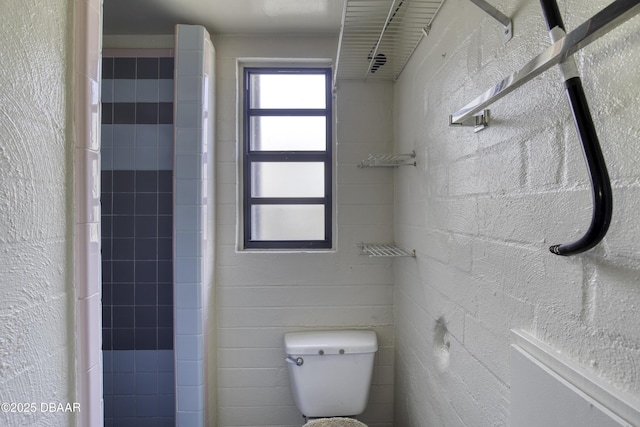 full bath featuring toilet and a shower