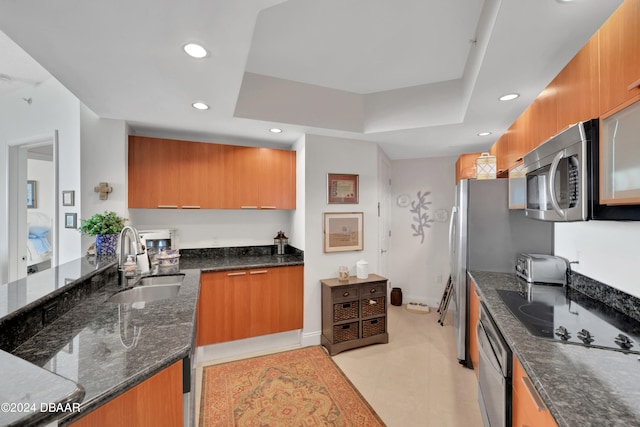 kitchen featuring dark stone countertops, a raised ceiling, sink, and appliances with stainless steel finishes