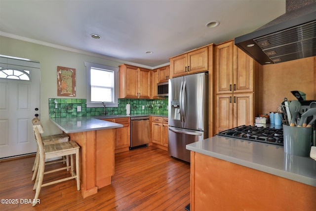 kitchen featuring ventilation hood, wood finished floors, a peninsula, stainless steel appliances, and decorative backsplash