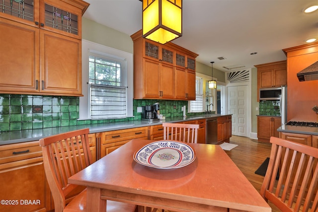 kitchen featuring backsplash, pendant lighting, wood finished floors, stainless steel appliances, and a sink