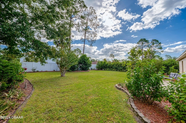 129 Rae Dr, Palm Coast, FL 32164 - view of yard