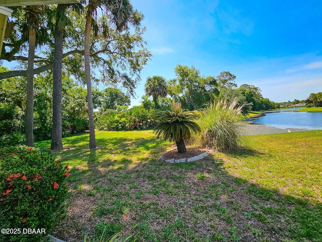 900 Smokerise Blvd, Port Orange, FL 32127 - view of grassy yard with a water view