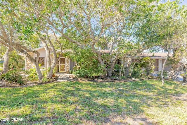 obstructed view of property with a front lawn