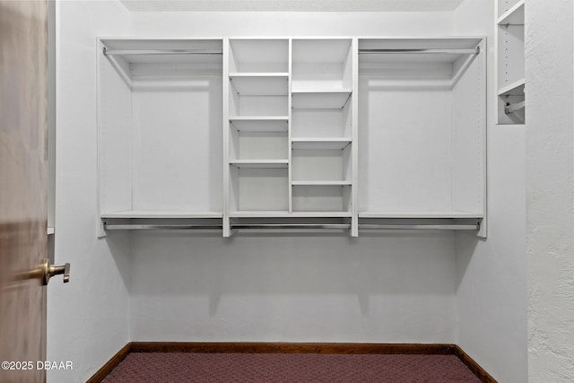 spacious closet featuring dark colored carpet