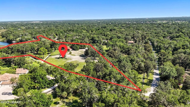 702 Overlook Trl, Port Orange, FL 32127 - photo 7