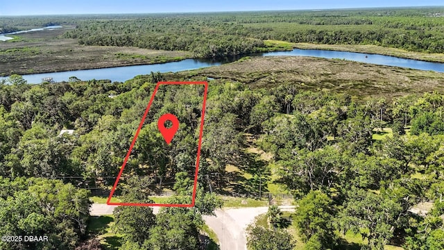 702 Overlook Trl, Port Orange, FL 32127 - photo 1