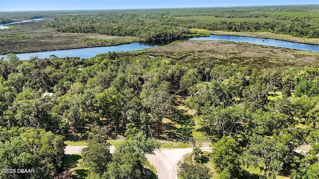 702 Overlook Trl, Port Orange, FL 32127 - photo 8