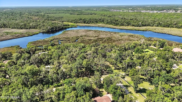 702 Overlook Trl, Port Orange, FL 32127 - photo 9