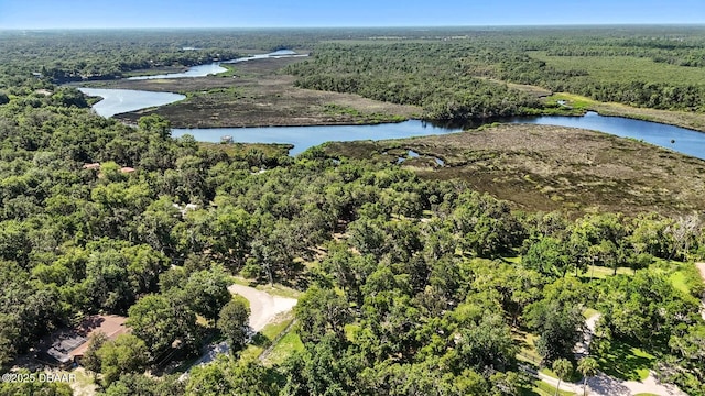 702 Overlook Trl, Port Orange, FL 32127 - photo 10