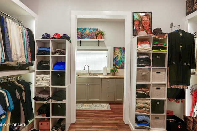 walk in closet featuring dark wood-type flooring and sink