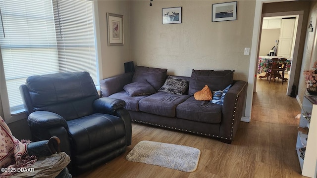 living room featuring hardwood / wood-style flooring