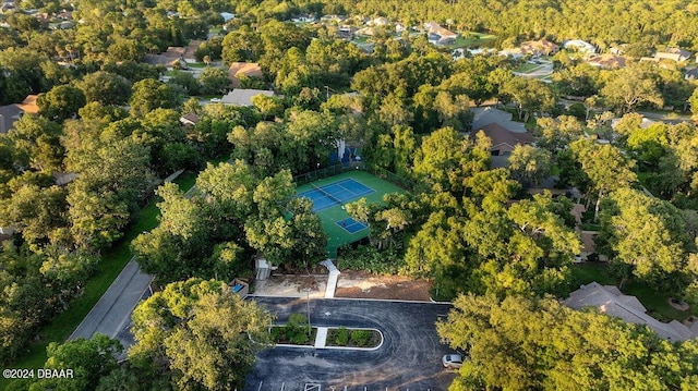 bird's eye view