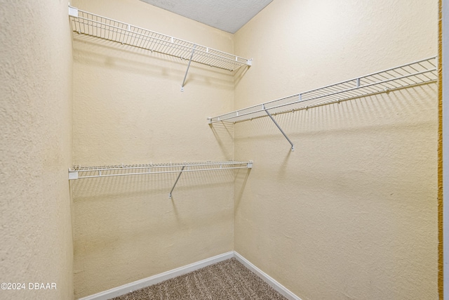 walk in closet featuring carpet flooring