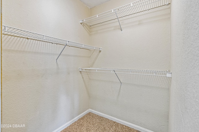 walk in closet with carpet