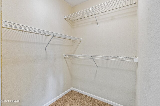 940 Village Trl Unit 6-102, Port Orange, FL 32127 - walk in closet with carpet floors