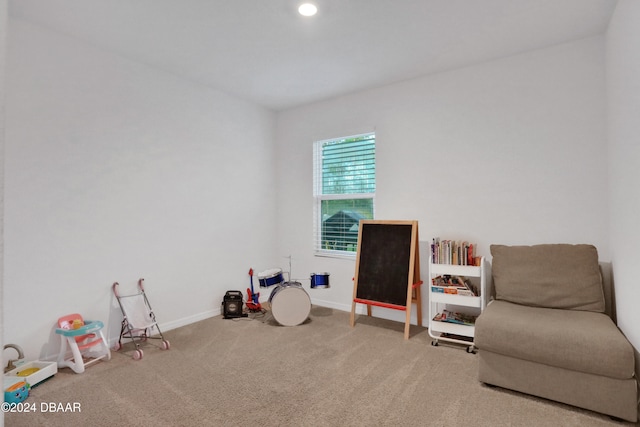 playroom with carpet flooring