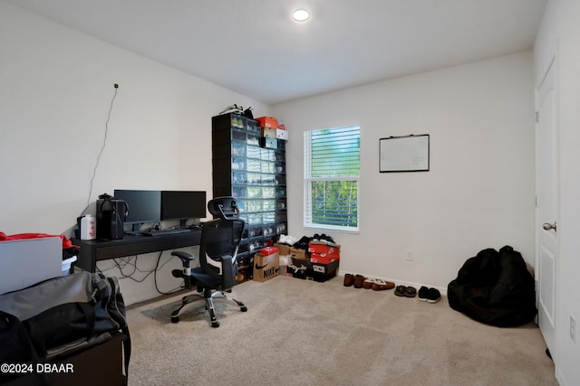 view of carpeted home office