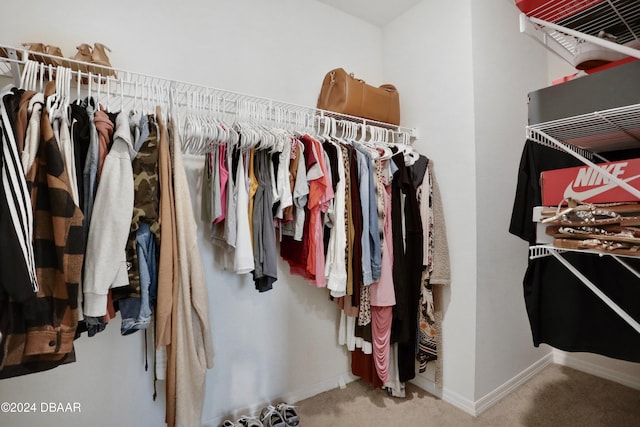 spacious closet featuring carpet