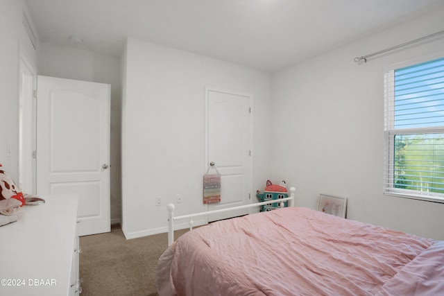 carpeted bedroom with multiple windows