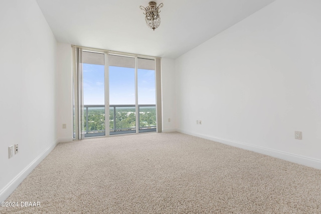 empty room with expansive windows and carpet floors