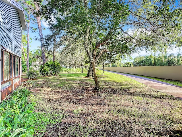 111 Grey Branch Rd, Port Orange, FL 32128 - view of yard