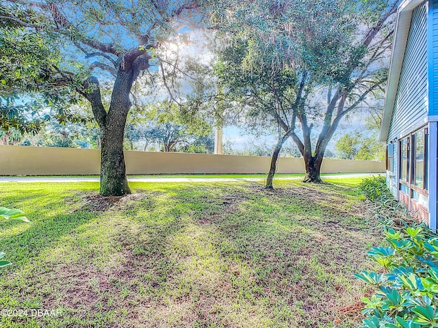 111 Grey Branch Rd, Port Orange, FL 32128 - view of yard