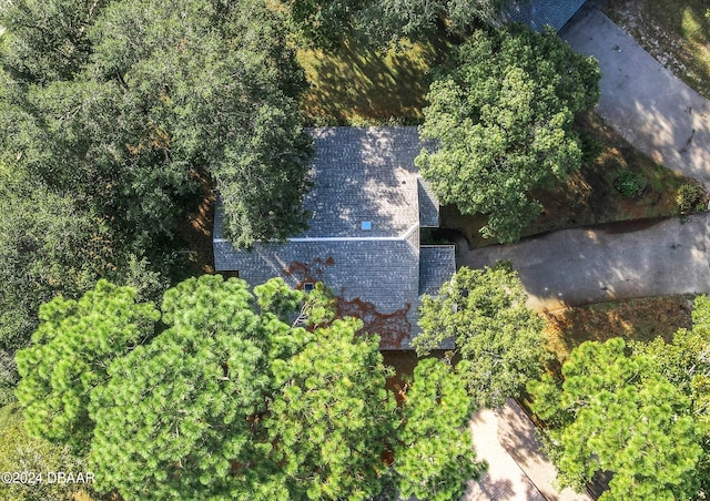 111 Grey Branch Rd, Port Orange, FL 32128 - view from above of property