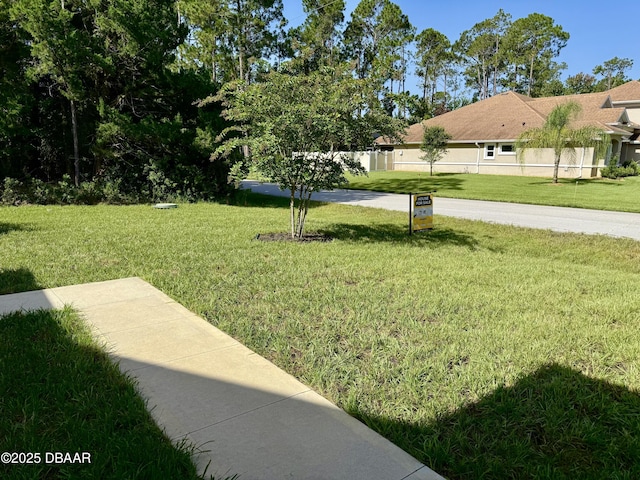 14 Ethan Allen Dr, Palm Coast, FL 32164 - photo 50