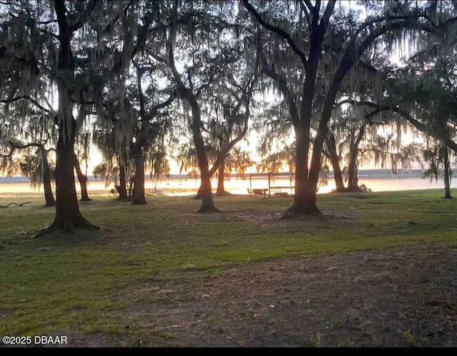 25296 NE 141st St, Salt Springs, FL 32134 - photo 24